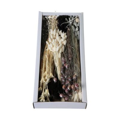 Trockenblumensortiment schwarz