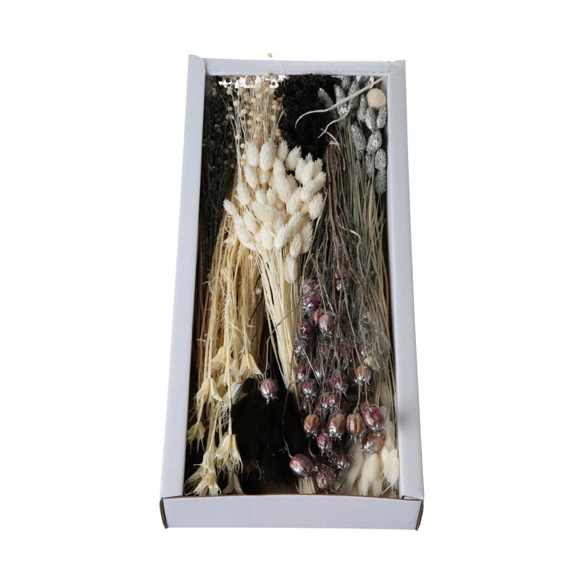 Trockenblumensortiment schwarz