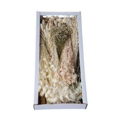 Trockenblumensortiment gebleicht