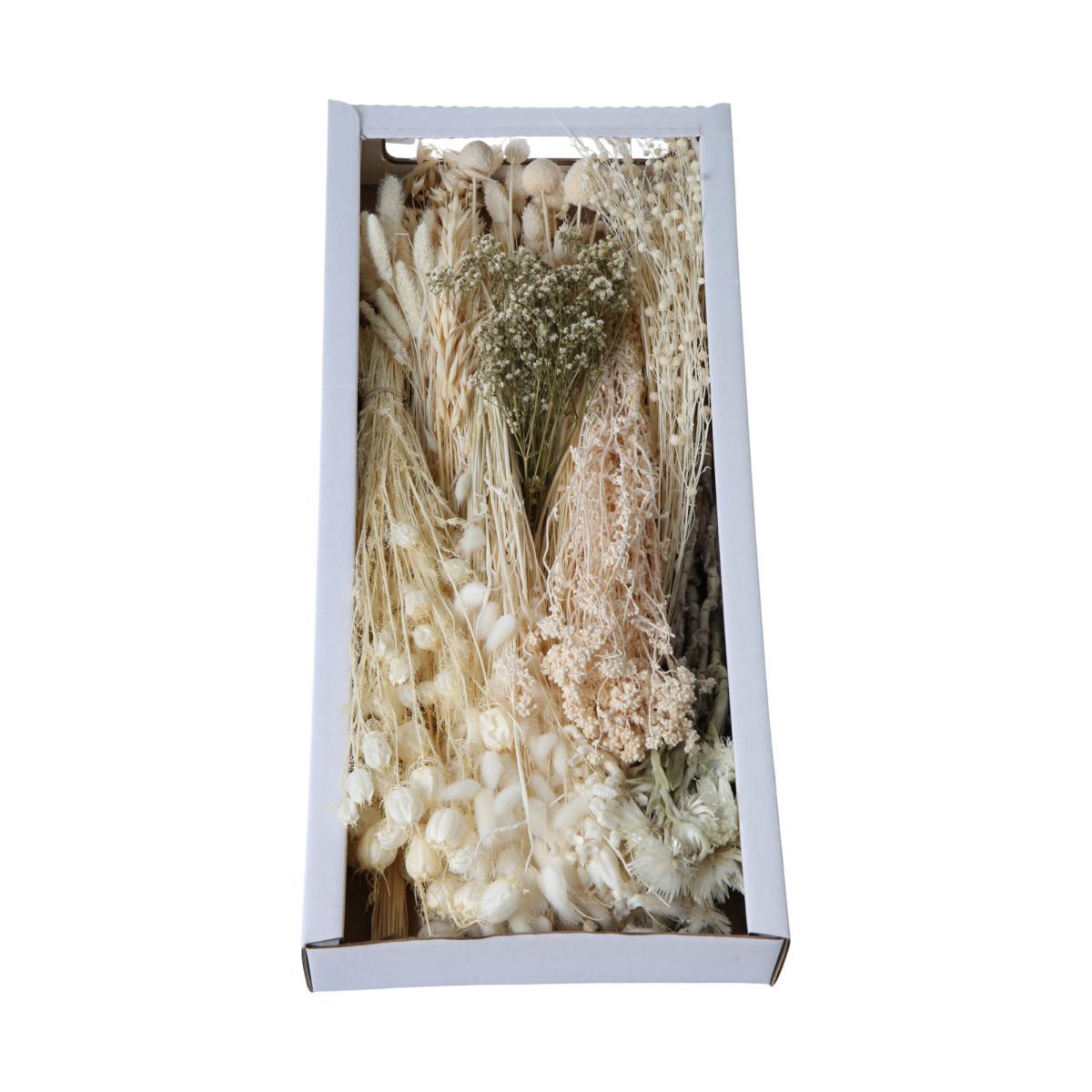 Trockenblumensortiment gebleicht