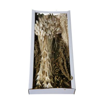 Trockenblumensortiment creme