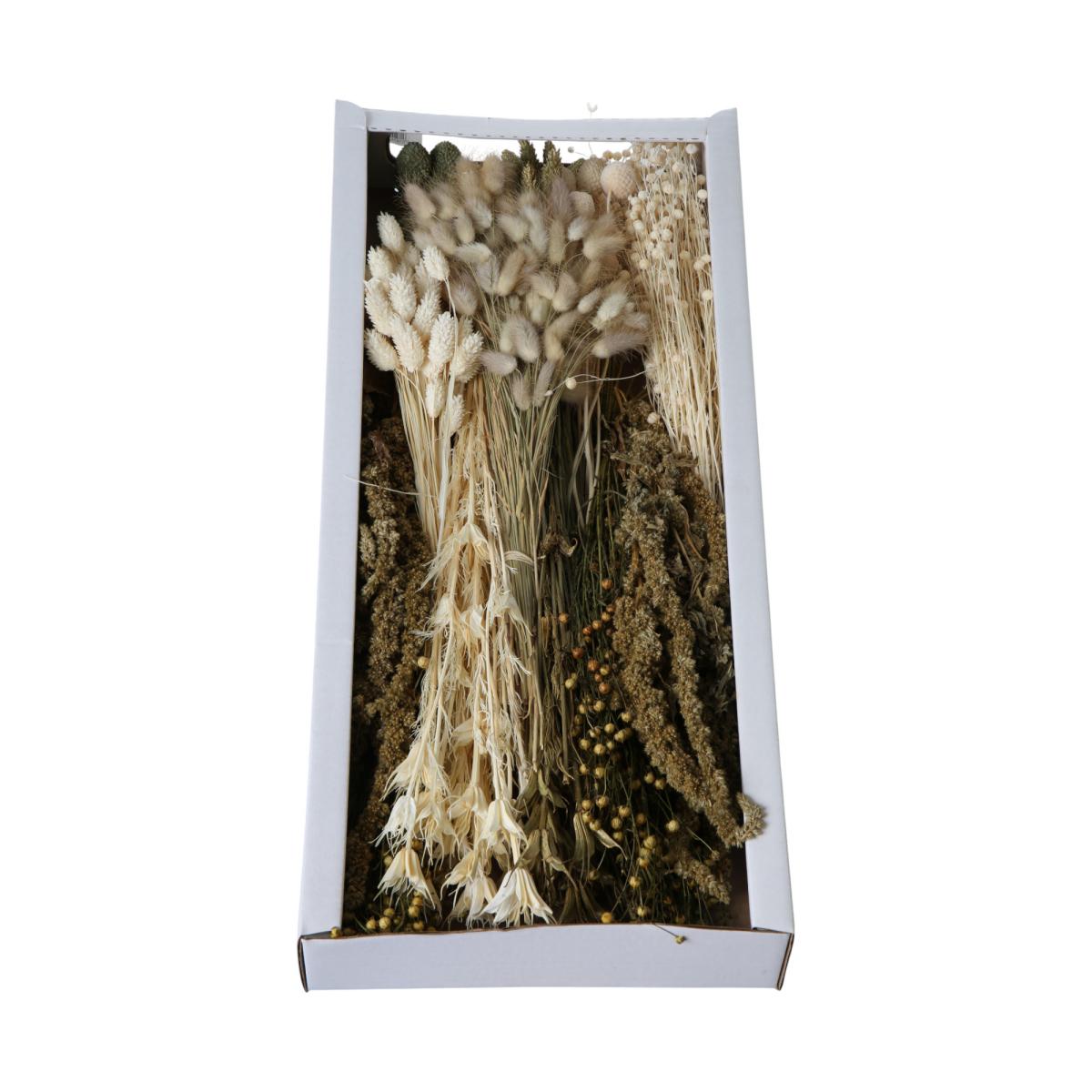 Trockenblumensortiment creme