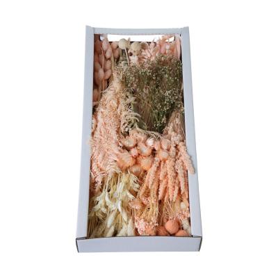 Trockenblumensortiment peach