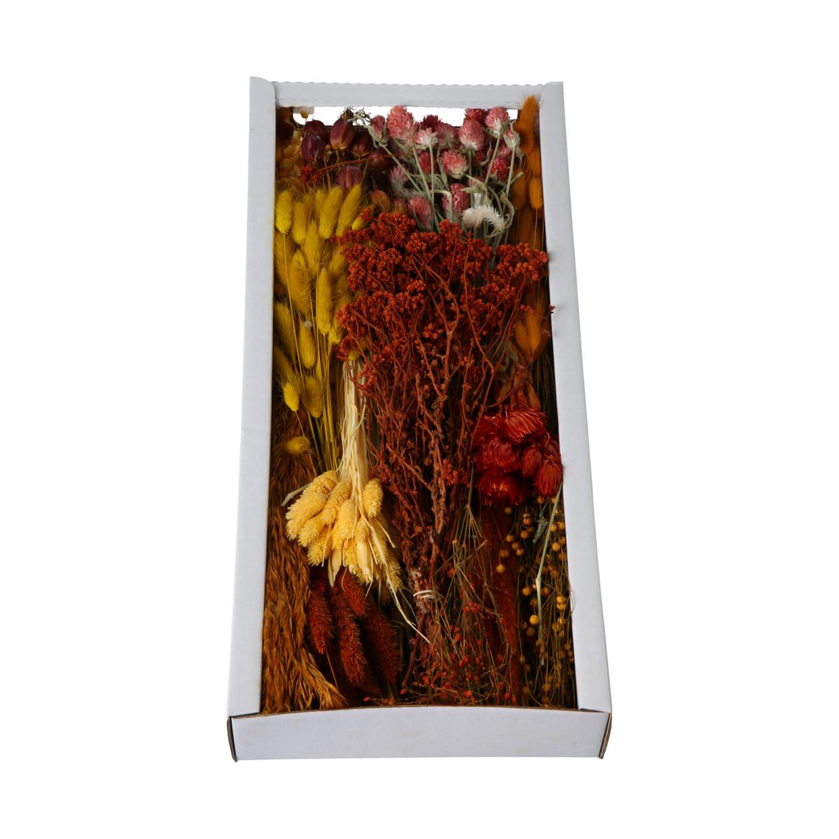 Trockenblumensortiment orange