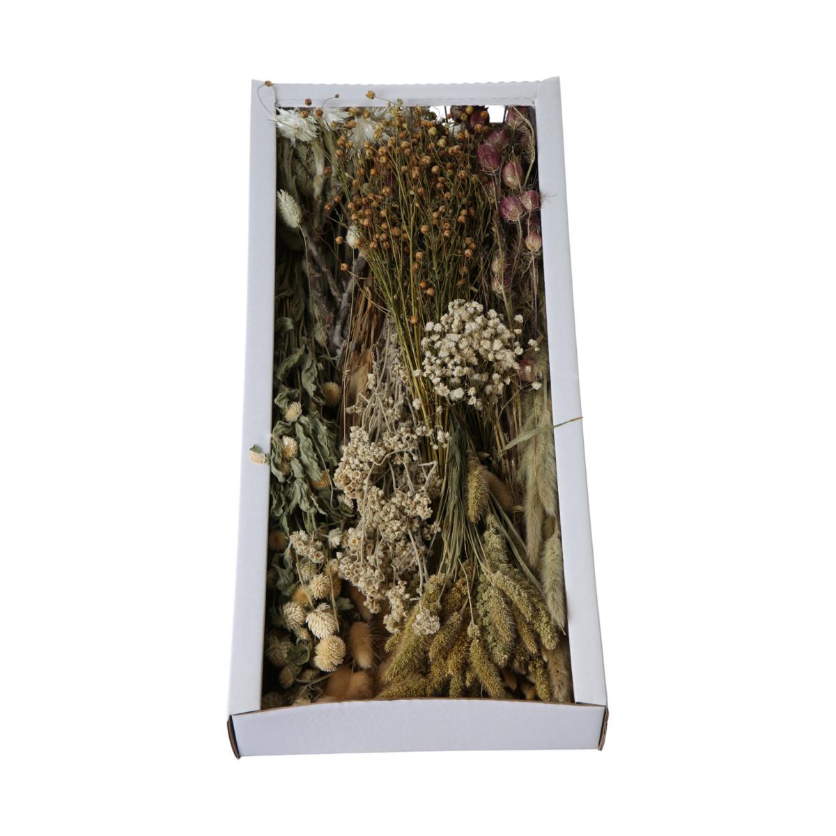 Trockenblumensortiment natur
