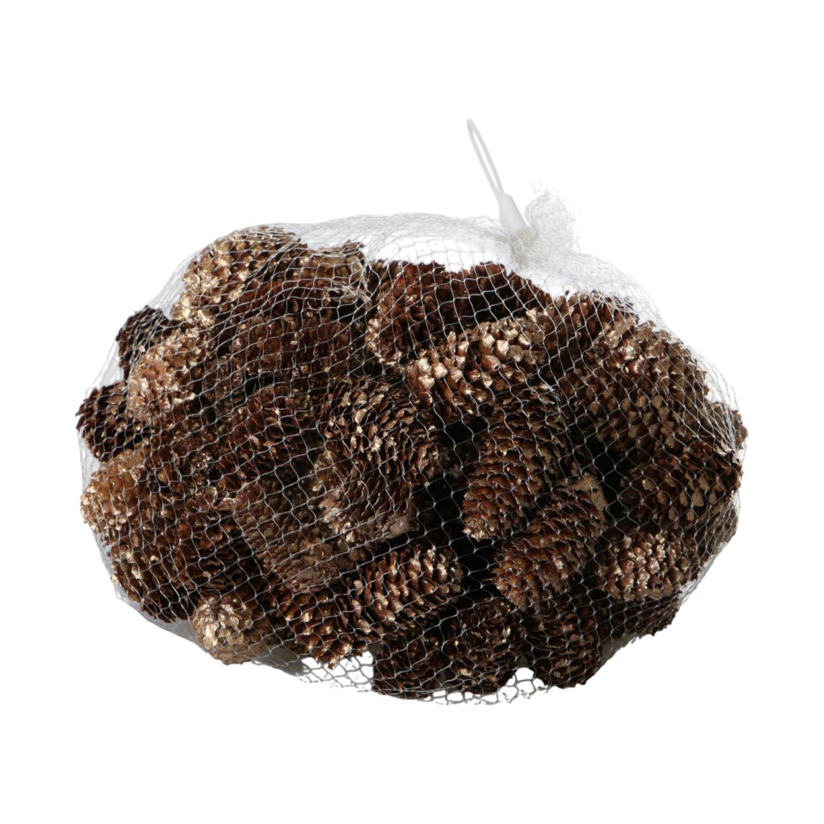 Kiefernzapfen mit Goldspitzen