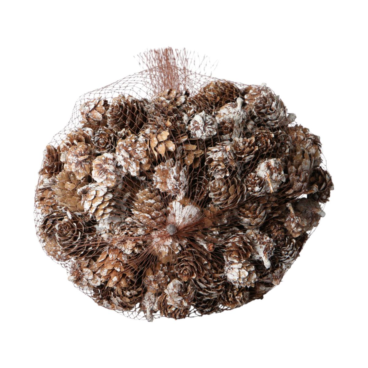 Minizapfen beschneit